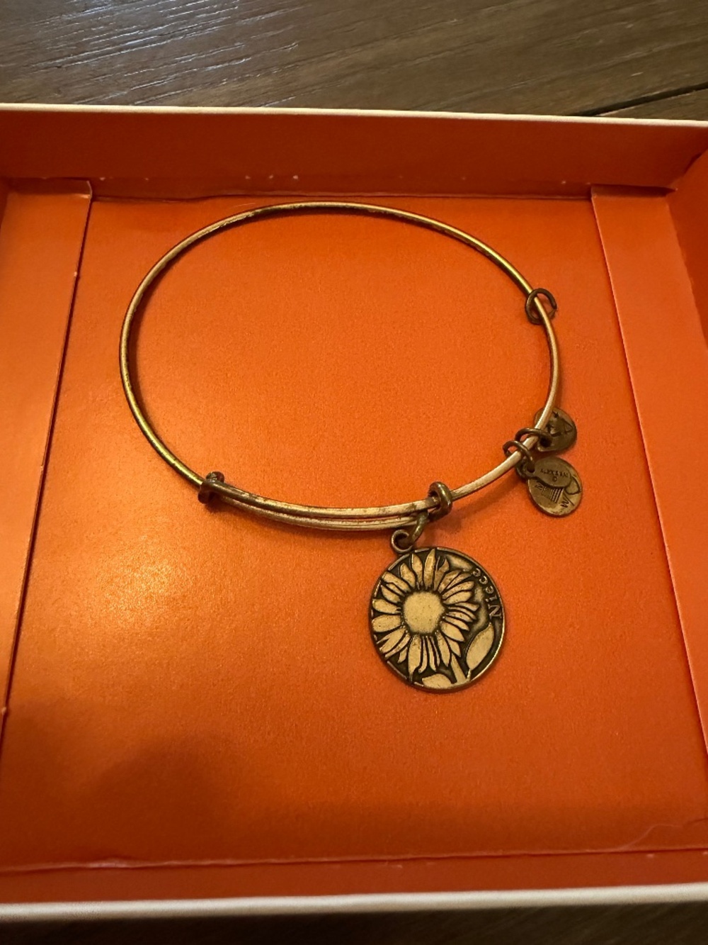 Alex and Ani Niece Bracelet